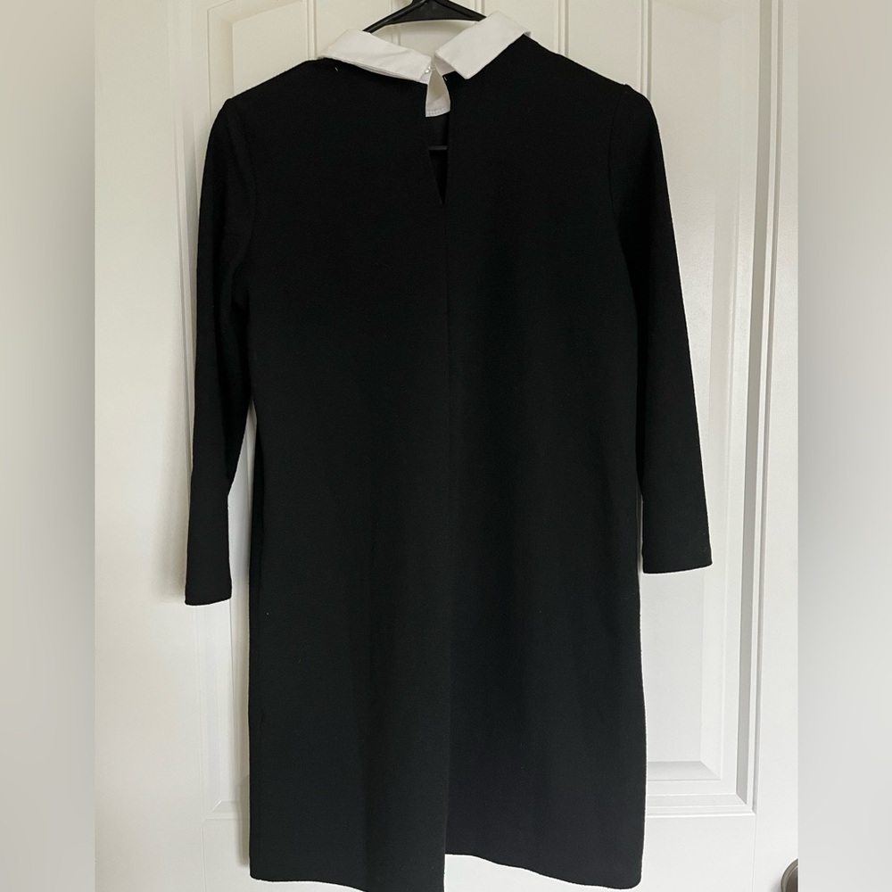 Zara Collared Dress - Picture 2 of 3